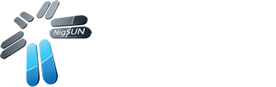 NIGSUN Telecom